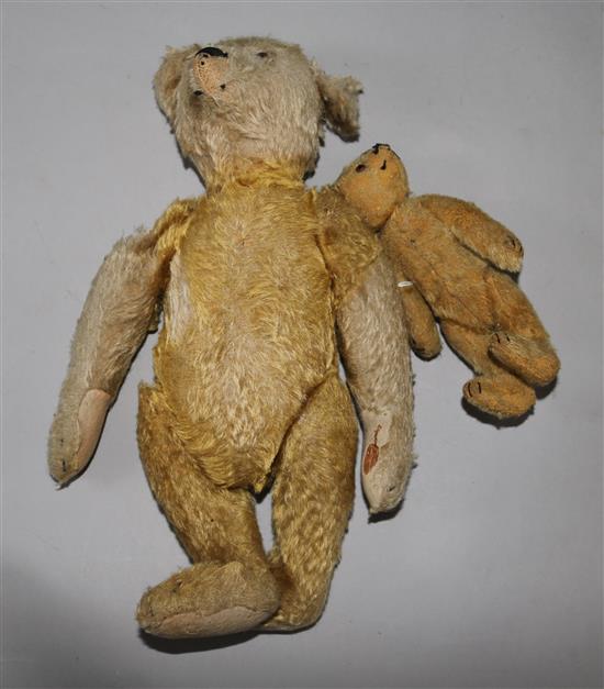 Two Steiff teddy bears